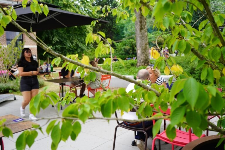 Zomerbar Den Briel
